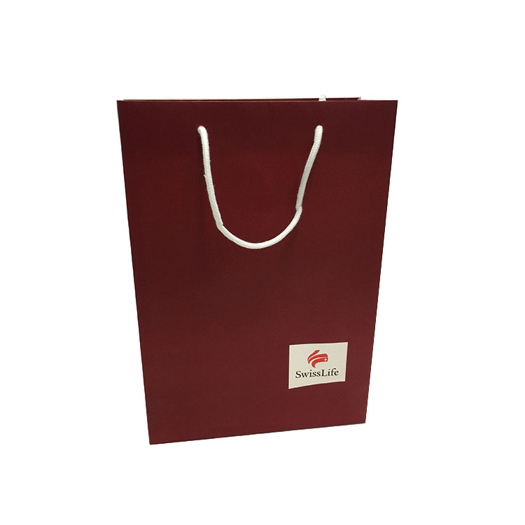 Recycle White Kraft Spot Color Printing Custom Rectangle Shopping Paper Bags With Cotton Handle