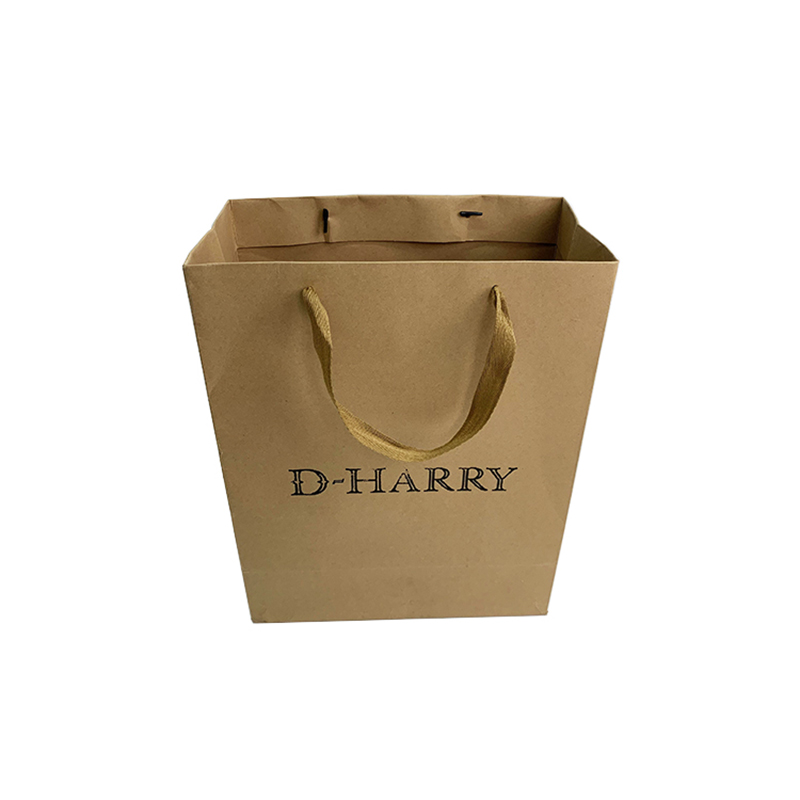 Best Sales Factory Price Shopping Brown Carriage Kraft Paper Bag With Cotton Handle