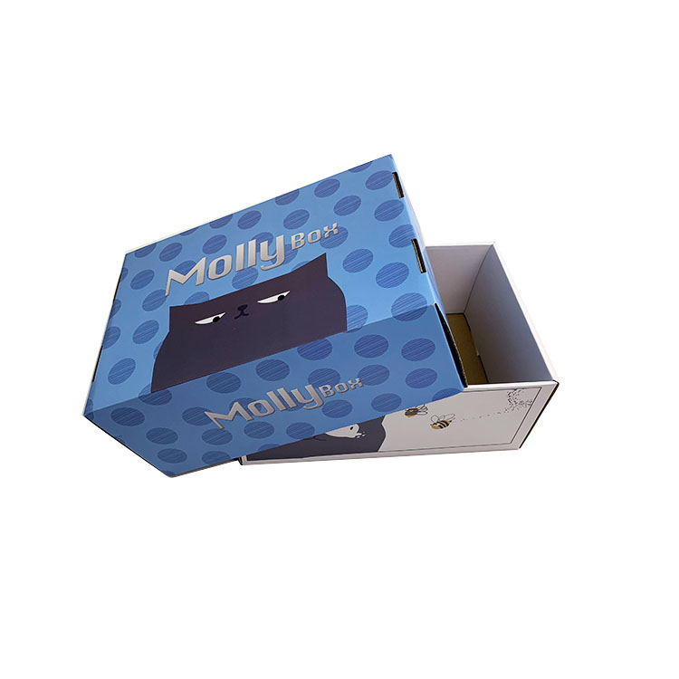 Custom full color printed corrugated shipping box with lid