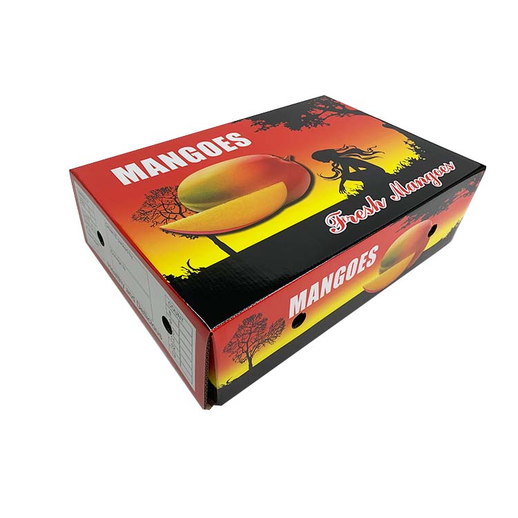 Custom 3 plys mangoes fruit packaging mailer carton corrugated box
